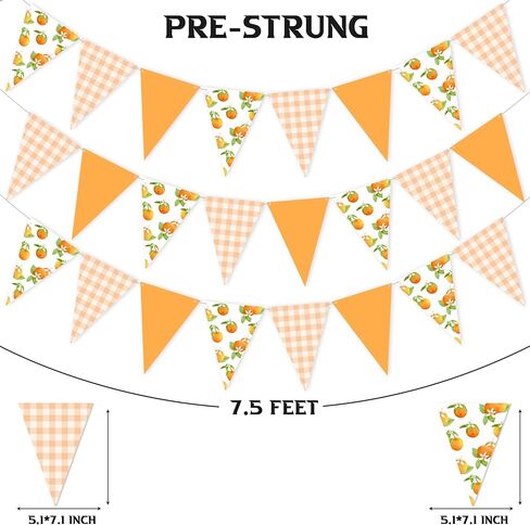 Orange Themed Party Bunting Banner Pre-Strung Citrus Triangle Pennant Flags for Baby Shower, Birthday, Summer Fruit Party Decorations in Saudi Arabia