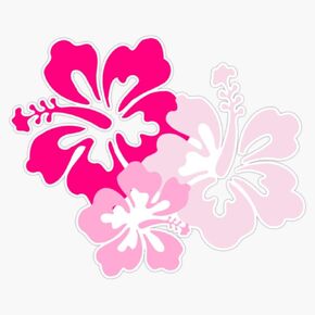 Hibiscus Flowers Coconut Girl Sticker Vinyl Waterproof Sticker Decal Car Laptop Wall Window Bumper Sticker 5" in Kuwait