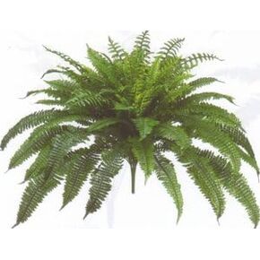 One Designer Quality 50 Inch Spread 92 Branch Artificial Silk Boston Fern Bush Plant Indoor Only in Kuwait