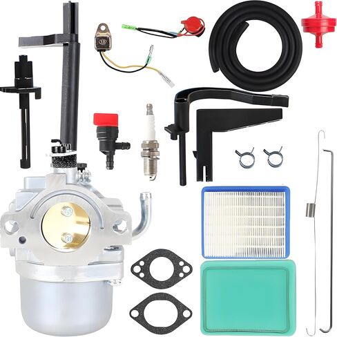 591378 Carburetor Tune Up Kit Fits for Briggs and Stratton Nikki 697978 796321 696132 699966 695918 696133 796322 Troy Bilt Coleman Powermate 5500 5000 6000 5550 6250 6500 Generator Parts in Kuwait