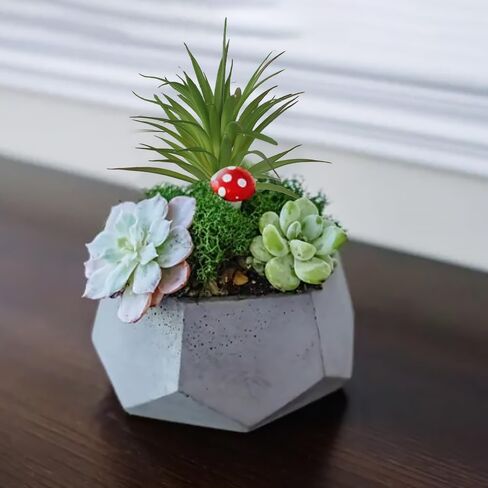 Artificial Succulents Plants 2PCS, Faux Succulents Unpotted Yucca Fake Succulent for Craft Lifelike Agave Plant Floral Decor for Greenhouse Party, Garden & Outdoor in Kuwait