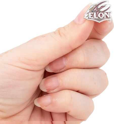 دبابيس طية صدر السترة من Desert Cactus Elon University وشعار Phoenix مصنوعة من المعدن (دبوس A) in Kuwait