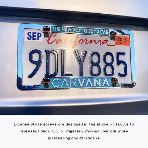 4 PCS Skull License Plate Screws, Anti Theft Car Tag Frame Fastener Kit with Funny Bolt Covers, Cool Personalized License Plate Bolts Decorative Kit for Most Vehicles (Black) in Saudi Arabia