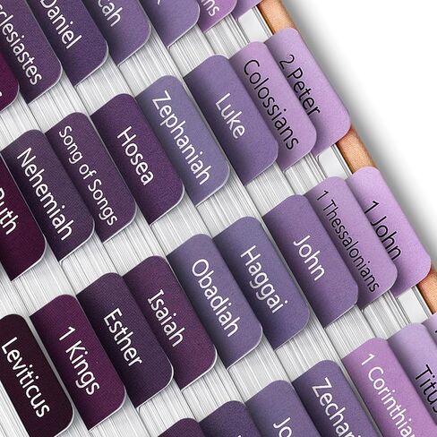 Mr. Pen- Bible Tabs, 75 Tabs, Ethereal Amethyst, Laminated Bible Tabs for Women and Men, Bible Tabs for Study Bible, Bible Index Tabs, Bible Book Tabs, Bible Labels Tabs, Mr Pen Bible Tabs in Saudi Arabia