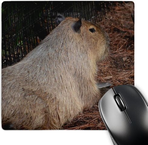 3D Rose "Reverse Flag in Outline Map of Turkey with Turkey Written in Turkish." Matte Finish Mouse Pad - 8 x 8" - mp_178767_1 in Kuwait