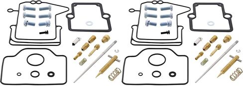 All Balls Racing 26-1916 Carburetor Rebuild Kit Compatible with/Replacement For Arctic Cat Mountain Cat 500 2002, ZR 500 2001, ZR 500 Cross Country 2002 in Saudi Arabia