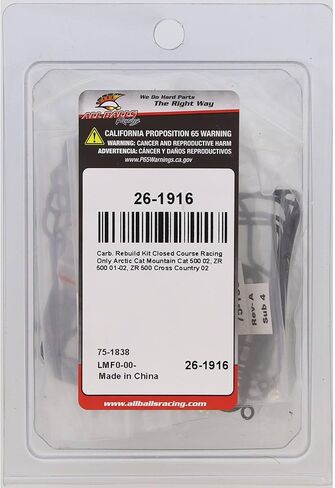 All Balls Racing 26-1916 Carburetor Rebuild Kit Compatible with/Replacement For Arctic Cat Mountain Cat 500 2002, ZR 500 2001, ZR 500 Cross Country 2002 in Saudi Arabia