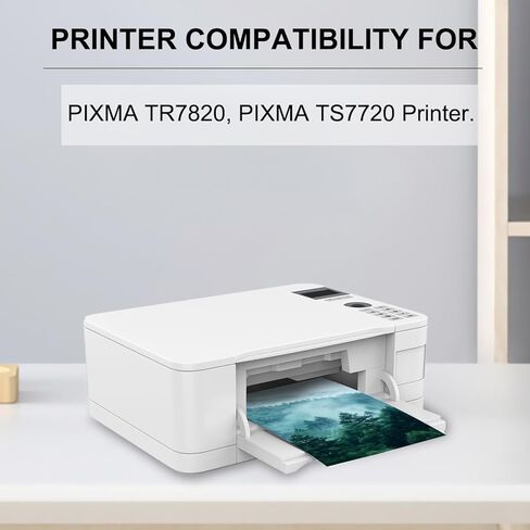 High Capacity PG-295 CL-286 Ink Cartridges Replacement for Canon PG-295 CL-286 Ink Cartridges use for Pixma TR7120,TS6520,TS4320 Printers (1 Black 1 Color) in Kuwait