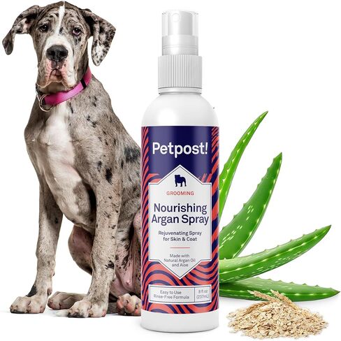 PetPost | شامبو FERRET - شامبو مزيل الرائحة القوي للحيوانات الصغيرة والحيوانات الصغيرة - صيغة صحية ومعطف فعالة بشكل طبيعي (8 أوقية ، شامبو) in Kuwait