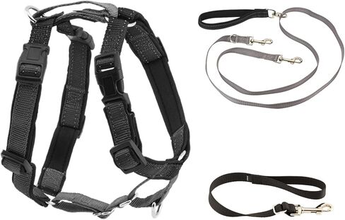 PetSafe 3 in 1 Harness with Two Point Control Leash, No-Pull Harness, Medium, Black, Adjustable in Kuwait