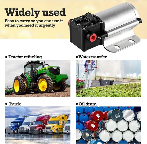 12 Volt Electric Fuel Transfer Pump, High Efficiency Fuel Transfer Pump Kit, Self-priming Liquids Diesel Kerosene Gasoline Water Transfer Pumps with Filter Cartridge in Saudi Arabia