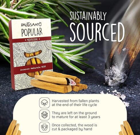 بالوسانتو - أعواد بخور بالو سانتو للتأمل وتخفيف التوتر - 13 عبوة - أعواد تلطيخ طبيعية لتنظيف الطاقة السلبية والاسترخاء المنزلي - أعواد بالو سانتو العضوية منتجات بيرو in Kuwait