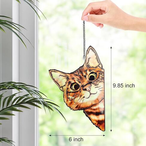 نافذة معلقة من الزجاج الملون من ريمياوي، قطة تطل بشكل مضحك مع سلسلة معدنية وخطافات نافذة ديكور داخلي وعيد الميلاد، هدايا عيد ميلاد الحيوانات الأليفة لعيد الأم لمحبي القطط in Kuwait