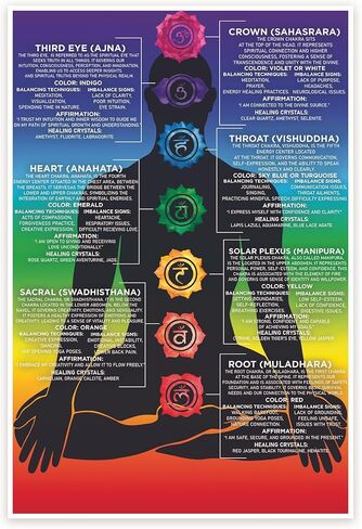 Bliss Monkey Co. Chakra Definitions Poster - Chakra Infographic Chart - Spiritual Positive Healing Wall Art - 12 x 18 Inch Poster - Unframed - Premium 100lb Gloss - Made In USA - BMCP084 in Kuwait