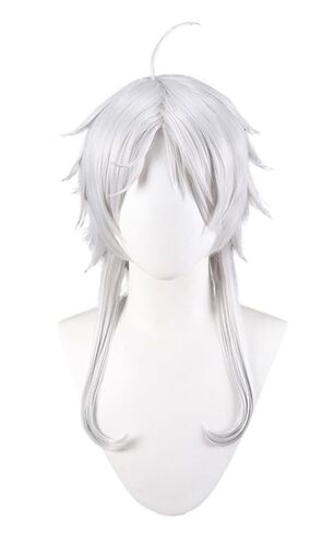 Sylphiette Greyrat Cosplay Wig Hair Role Play Halloween Christmas Comic Convention Costume Party Wigs + Wig Cap in Kuwait