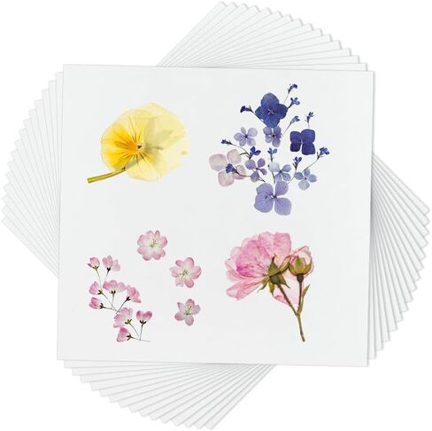 OLYCRAFT 50Pcs Blotting Paper for Flower Press 12x8 Inch Flower Press Paper Blotter Paper Premium Natural Fiber Blotting Paper for Flower Press Art 0.4mm Thickness in Saudi Arabia