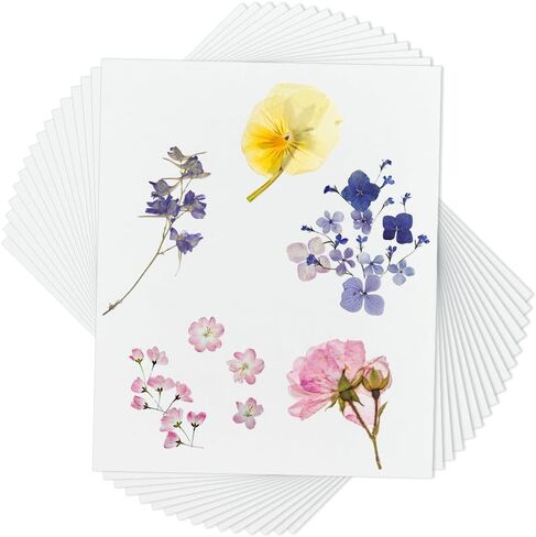 OLYCRAFT 50Pcs Blotting Paper for Flower Press 12x8 Inch Flower Press Paper Blotter Paper Premium Natural Fiber Blotting Paper for Flower Press Art 0.4mm Thickness in Saudi Arabia