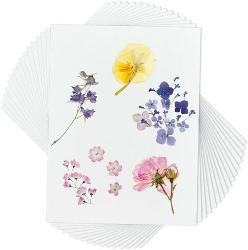 OLYCRAFT 50Pcs Blotting Paper for Flower Press 12x8 Inch Flower Press Paper Blotter Paper Premium Natural Fiber Blotting Paper for Flower Press Art 0.4mm Thickness in Saudi Arabia
