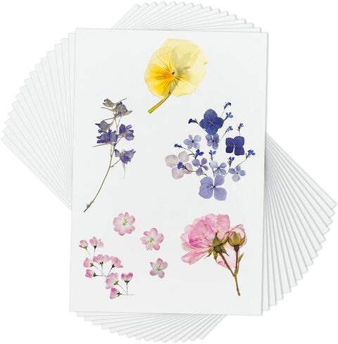 OLYCRAFT 50Pcs Blotting Paper for Flower Press 12x8 Inch Flower Press Paper Blotter Paper Premium Natural Fiber Blotting Paper for Flower Press Art 0.4mm Thickness in Saudi Arabia