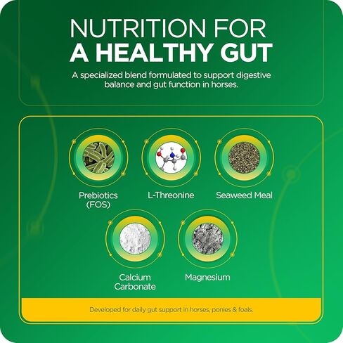 TRM Gastrofos Feed Feed مكمل الجهاز الهضمي للوقاية من ارتداد حمض القرحة والهضم الصحي | تحييد حمض المعدة - 6.6 رطل (3 كجم) - 6.6 رطل in Kuwait