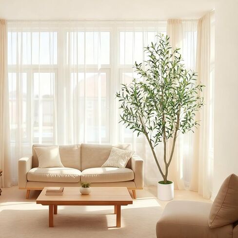 شجرة زيتون صناعية من تيمو بطول 6 أقدام، أشجار زيتون صناعية داخلية مع زارع أبيض، نباتات صناعية شجرة صناعية داخلية بأوراق واقعية وفواكه نابضة بالحياة، نبات صناعي لديكور المنزل والمكتب in Kuwait