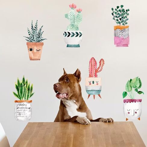 6 Sheets Cute Cactus Potted Plants Wall Decals Colorful Succulent Wall Stickers Vinyl Wall Decor for Bedroom Living Room Playroom Nursery in Saudi Arabia