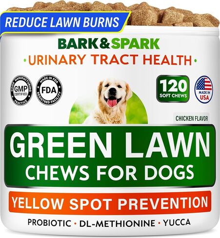 Dog Probiotic Chews - Gas, Diarrhea, Allergies - Enzymes + Prebiotics - Chewable Fiber - Digestion, Immunity - USA Made - 90 Ct - ChickenLiver in Kuwait