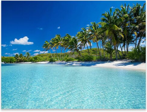 SULLOTSY Ocean Beach نسيج هاواي الجدار شنقا جدار الجنة الاستوائية جدار شجرة جوز الهند أوراق الغابات المطيرة الأزرق البحر نسيج نمط البوهيمي لديكور المنزل 82.6 "L X 59" W in Kuwait
