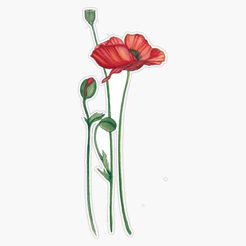 Flowers, Poppies Vinyl Sticker Waterproof Bumper Sticker Laptop Window 5" in Saudi Arabia
