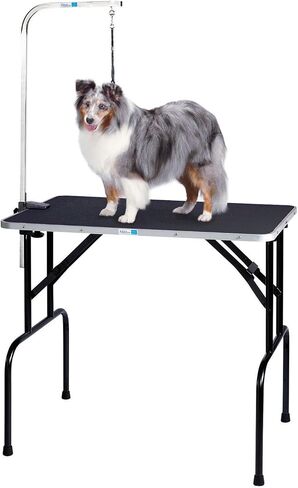 Pet Edge Master Equipment Heavy Duty Grooming Table with Arm – Easy to Clean Grooming Table for Animals up to 220 Pounds in Saudi Arabia