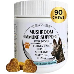 Dogs Immune Support Mushroom Supplement - Supports Longevity, Cognition, Joint, Cellular & Gut Health - All Natural Organic, GrainFree - Buddy Guard for Lumps and Bumps, Chicken Flavor - 90 Chews in Saudi Arabia