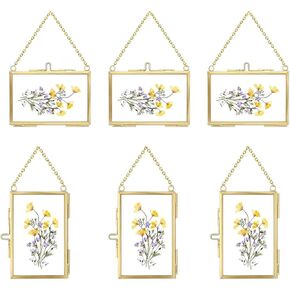 FOCHIER F 6 Pcs Pressed Flower Frame, Wall Hanging Tabletop Display Double Glass Frames with Metal Chain for Pressed Dried Flowers Plants, Horizontal and Vertical Picture Frame, Gold, FRAMES ONLY in Kuwait