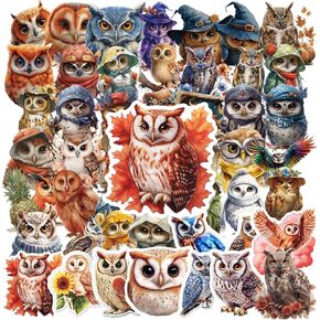 Assorted Mystical Owl Stickers 50 Pcs: Watercolor & Realistic Owl Decals for Kids, Waterproof Vinyl Animal Aesthetic Stickers, Clever Owls for Laptop, Phone, Skateboard, Computer, Water Bottles in Kuwait