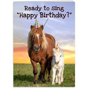 بطاقة عيد ميلاد مضحكة للنساء، للرجال، لها، له، الأصدقاء، الأخوات، الإخوة، أمي، أبي وجميع محبي الخيول in Kuwait