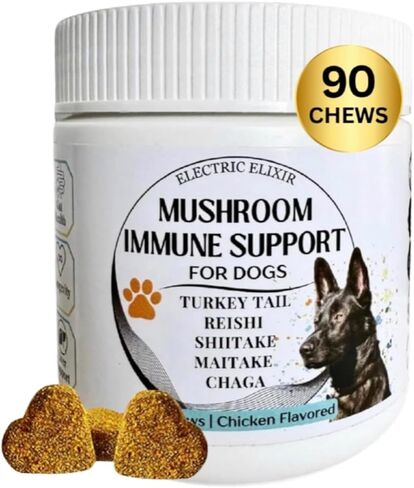 Dogs Immune Support Mushroom Supplement - Supports Longevity, Cognition, Joint, Cellular & Gut Health - All Natural Organic, GrainFree - Buddy Guard for Lumps and Bumps, Chicken Flavor - 90 Chews in Saudi Arabia