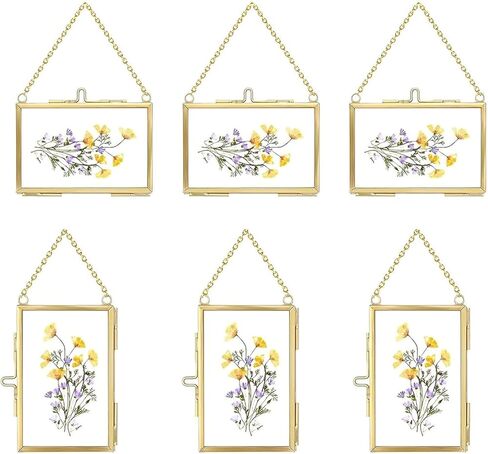 FOCHIER F 6 Pcs Pressed Flower Frame, Wall Hanging Tabletop Display Double Glass Frames with Metal Chain for Pressed Dried Flowers Plants, Horizontal and Vertical Picture Frame, Gold, FRAMES ONLY in Kuwait