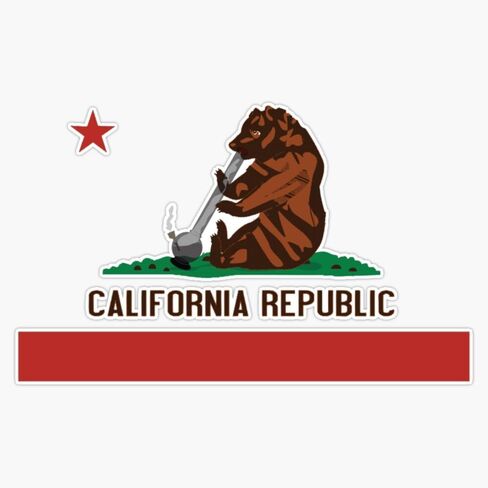MAGNET Funny California State Flag Magnetic Bumper Sticker 5" in Kuwait
