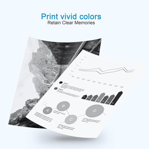 Wiseta 202XL Ink Cartridges Remanufactured Replacement for Epson 202 XL 202XL T202XL High Yield to Use with Workforce WF-2860 Expression XP-5100 Printer (2Black, Cyan, Magenta, Yellow 5 Pack) in Kuwait