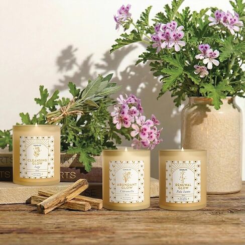 Candle Set - 3 Pack Soy Wax Aromatherapy Scented Candles for Energy Cleansing, Manifestation, Palo Santo, Sage, Citronella, Long Lasting, Gift for Women, for her, Smudge Kit in Saudi Arabia