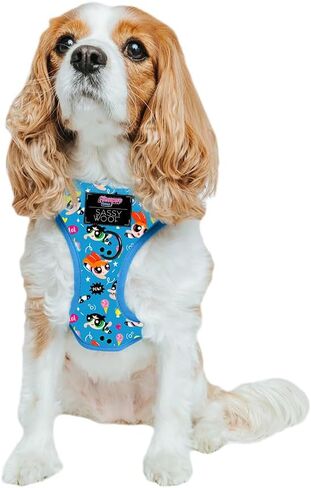 Dog Adjustable Harness - The Powerpuff Girls™ (Blue) - M, Breathable Mesh, No Pull Design with Two D-Rings, Patented Design, Perfect for Medium Dogs - Officially Licensed in Saudi Arabia
