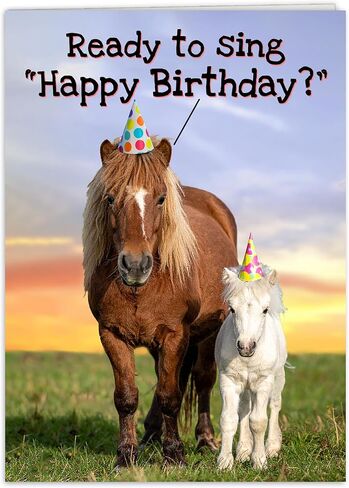 بطاقة عيد ميلاد مضحكة للنساء، للرجال، لها، له، الأصدقاء، الأخوات، الإخوة، أمي، أبي وجميع محبي الخيول in Kuwait