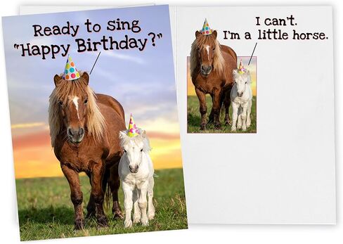 بطاقة عيد ميلاد مضحكة للنساء، للرجال، لها، له، الأصدقاء، الأخوات، الإخوة، أمي، أبي وجميع محبي الخيول in Kuwait