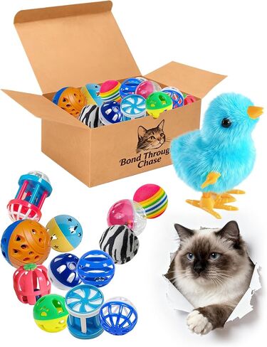 Cat Toys 16 pcs مع كرات الدجاج والجرس للقطط الداخلية والقطط ، حزمة لعبة Kitten Kitty Fun بما في ذلك كرات اللعب التفاعلية والملونة in Kuwait