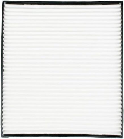 2PCS F37-1018 Air Filter Compatible with Kenworth T660 T680 T800 T880 Peterbilt 387 567 579 Replace PA30269 F37-1018 S28571 S-9034 in Kuwait