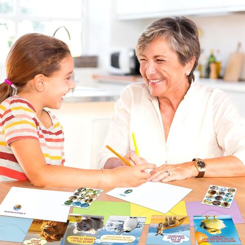 Treasure Cove Funny Animal Joke Cards No Repeats Humorous Animal Greeting Card Thinking of You Notecards with Envelopes Stickers for Kids Students Teacher Classroom Activities Party Supplies 24 Pcs in Kuwait