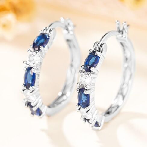 Exquisite Inlay White Blue Zirconia Hoop Earrings for Women Banquet Vintage Earrings Jewelry Daily Party Fashion Accessories in Saudi Arabia