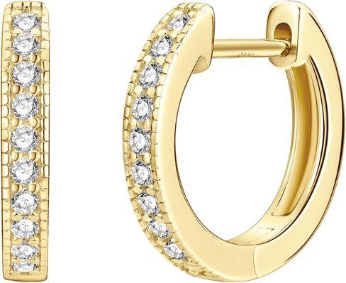 Moissanite Hoop Earrings for Women, 14K Gold Filled Imitation Diamond 0.2CT Small Pavé Hoop Earrings Jewelry Valentine Cartilage D Color Earrings Trendy Jewerly Gift in Saudi Arabia