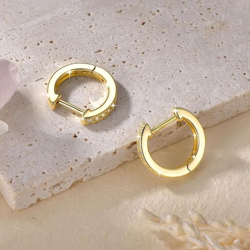 Moissanite Hoop Earrings for Women, 14K Gold Filled Imitation Diamond 0.2CT Small Pavé Hoop Earrings Jewelry Valentine Cartilage D Color Earrings Trendy Jewerly Gift in Saudi Arabia