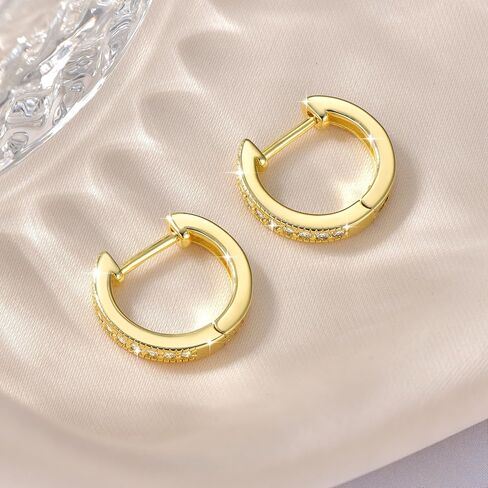 Moissanite Hoop Earrings for Women, 14K Gold Filled Imitation Diamond 0.2CT Small Pavé Hoop Earrings Jewelry Valentine Cartilage D Color Earrings Trendy Jewerly Gift in Saudi Arabia