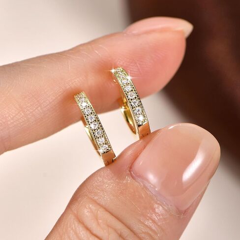 Moissanite Hoop Earrings for Women, 14K Gold Filled Imitation Diamond 0.2CT Small Pavé Hoop Earrings Jewelry Valentine Cartilage D Color Earrings Trendy Jewerly Gift in Saudi Arabia
